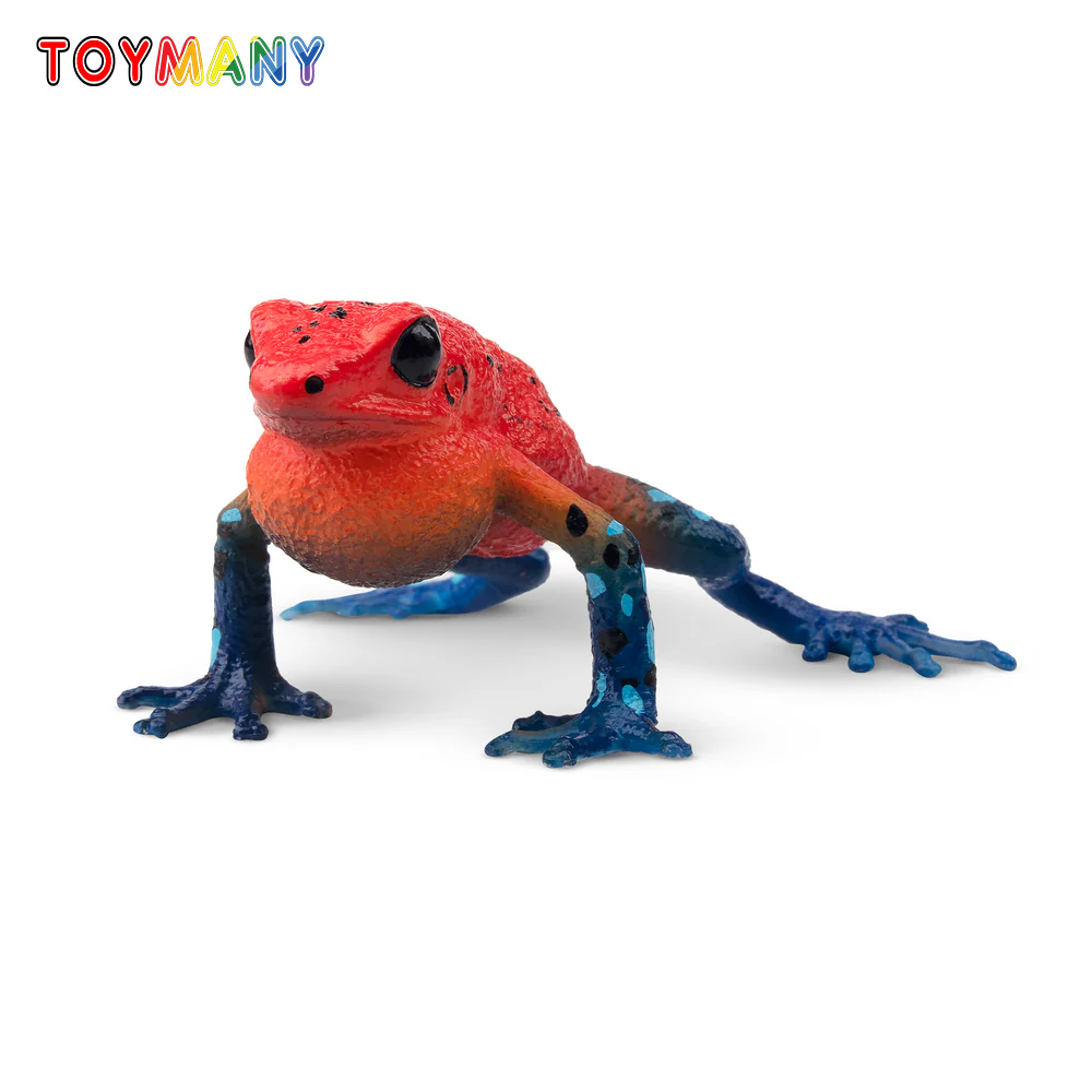 Toymany моделирование клубничн – обзор и цена Kids Toys Latest