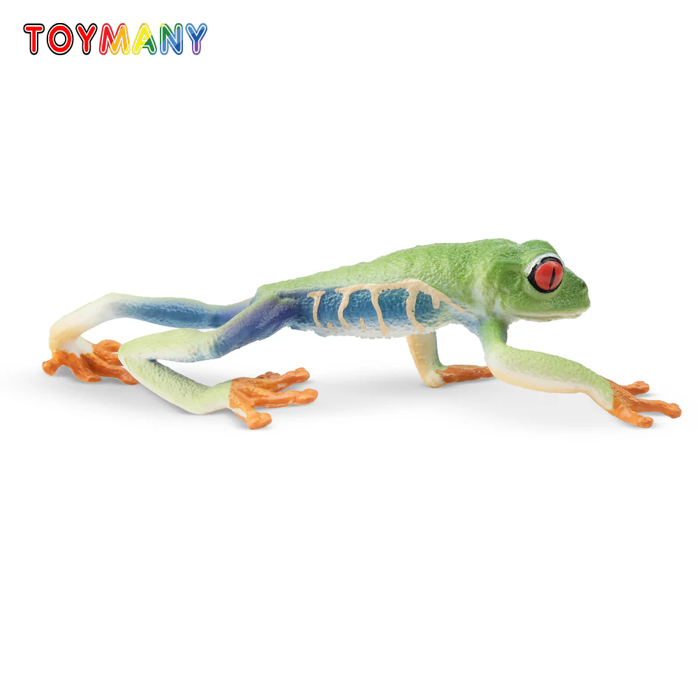 Toymany моделирование красногл – обзор и цена Kids Toys Latest